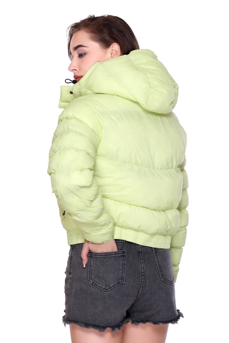 151A9037